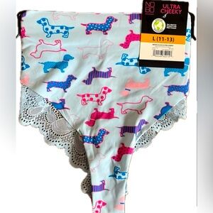 Ultra cheeky Micro & Lace panties. New with tags. Women’s Size Large